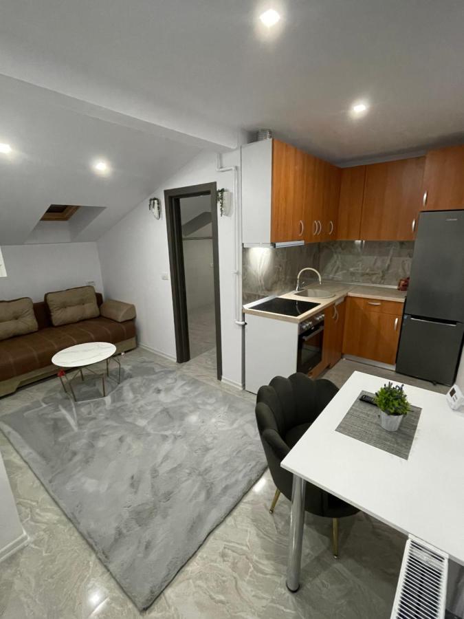 Cozy Apartament With 2Rooms Timisoara Exterior photo